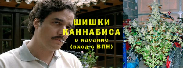 сатива Алексеевка