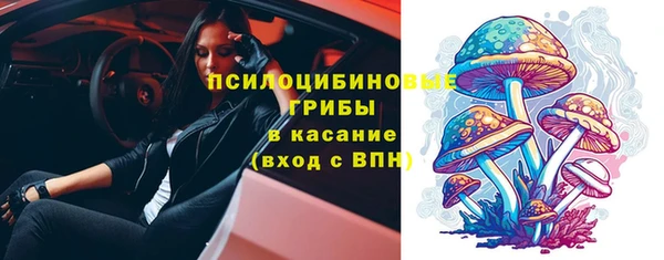 сатива Алексеевка