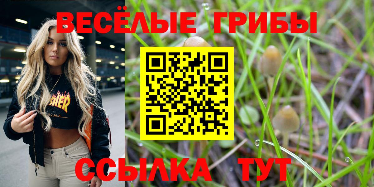 Псилоцибиновые грибы прущие грибы  Вход с VPN  Феодосия 